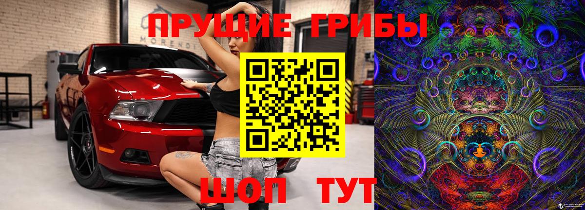 Каменск-Шахтинский  Псилоцибиновые грибы Cubensis  Вход с VPN 